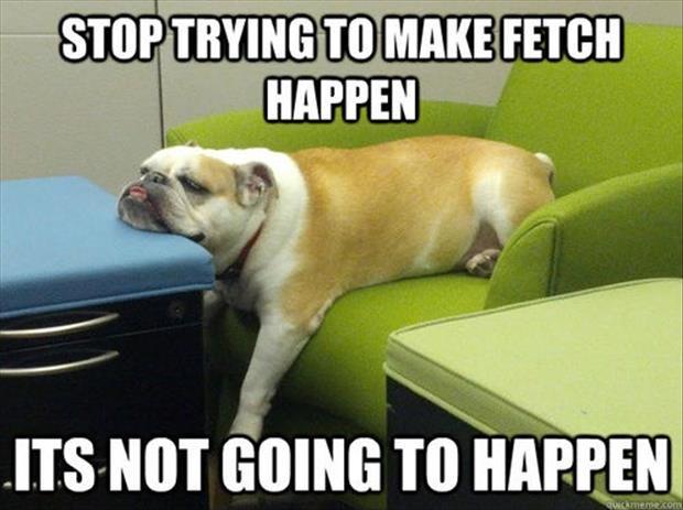 Stop trying to make fetch happen Picture Quote #2