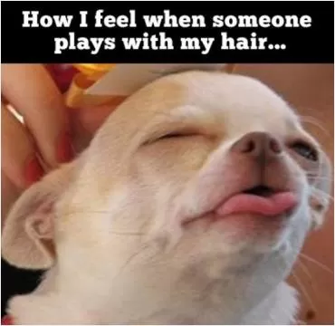 How I feel when someone plays with my hair Picture Quote #1