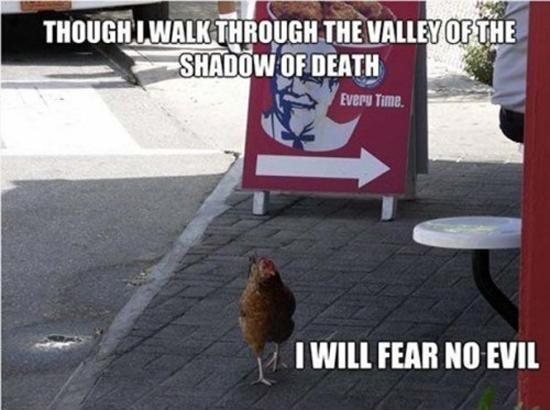 Though I walk through the valley of the shadow of death,  I will fear no evil Picture Quote #2