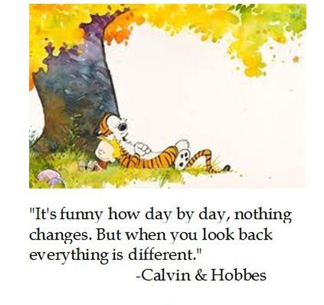 It's funny how day by day nothing changes, But when you look back everything is different Picture Quote #1