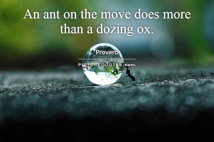 Ant Quotes | Ant Sayings | Ant Picture Quotes