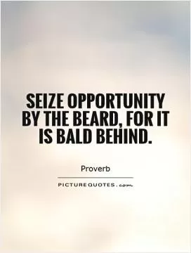 Seize opportunity by the beard, for it is bald behind Picture Quote #1