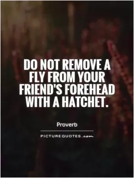 Do not remove a fly from your friend's forehead with a hatchet Picture Quote #1