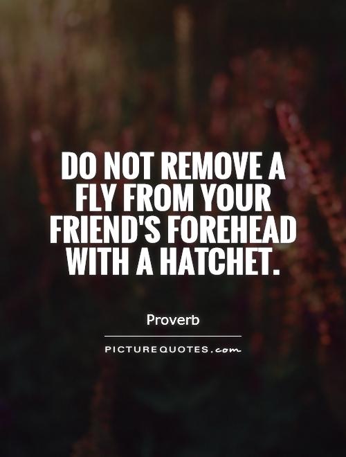 Do not remove a fly from your friend's forehead with a hatchet Picture Quote #1