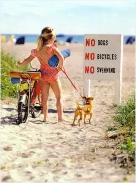 No dogs. No bicycles. No swimming Picture Quote #1