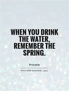 When you drink the water, remember the spring Picture Quote #1