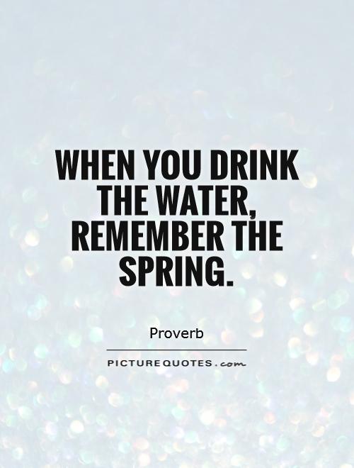 When you drink the water, remember the spring Picture Quote #1