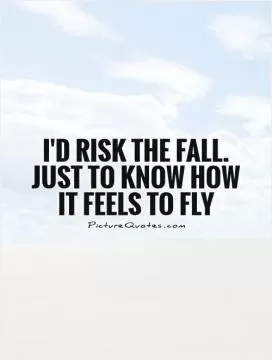 I'd risk the fall. just to know how it feels to fly Picture Quote #1