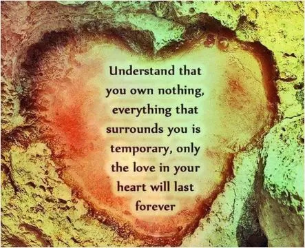Understand that you own nothing, everything that surrounds you is only temporary, only the love in your heart will last forever Picture Quote #1