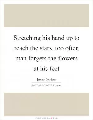 Stretching his hand up to reach the stars, too often man forgets the flowers at his feet Picture Quote #1