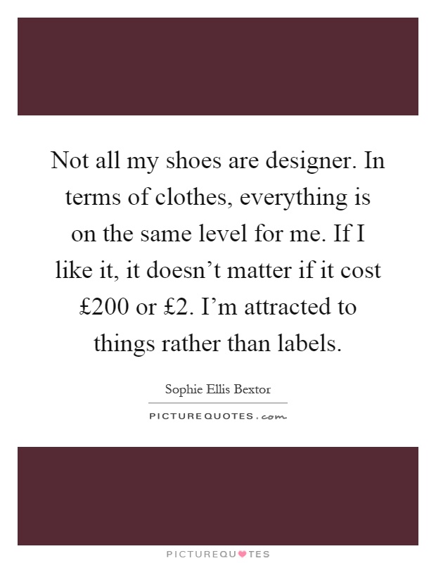 Not all my shoes are designer. In terms of clothes, everything is on the same level for me. If I like it, it doesn't matter if it cost £200 or £2. I'm attracted to things rather than labels Picture Quote #1