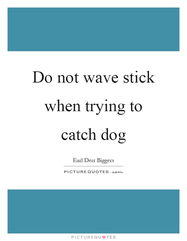 Do not wave stick when trying to catch dog Picture Quote #1