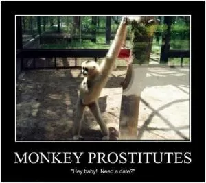 Monkey prostitutes. Hey baby! Need a date? Picture Quote #1