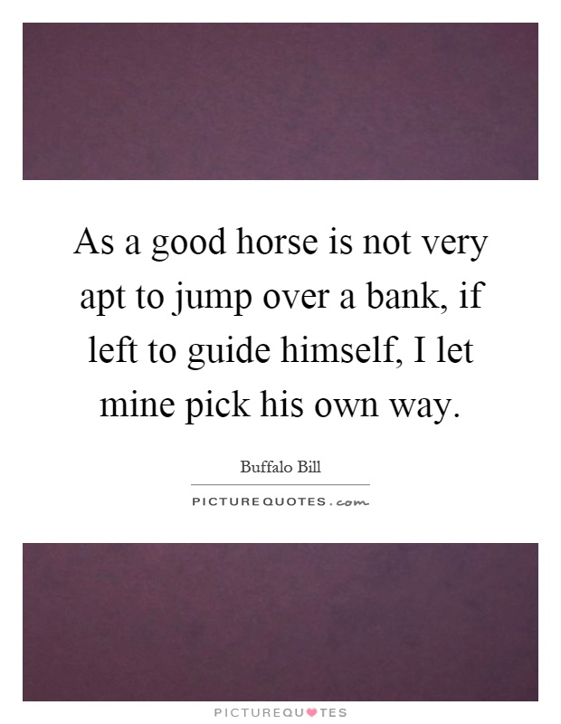 As a good horse is not very apt to jump over a bank, if left to guide himself, I let mine pick his own way Picture Quote #1