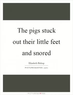 The pigs stuck out their little feet and snored Picture Quote #1