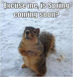 Excuse me, is Spring coming soon? Picture Quote #1