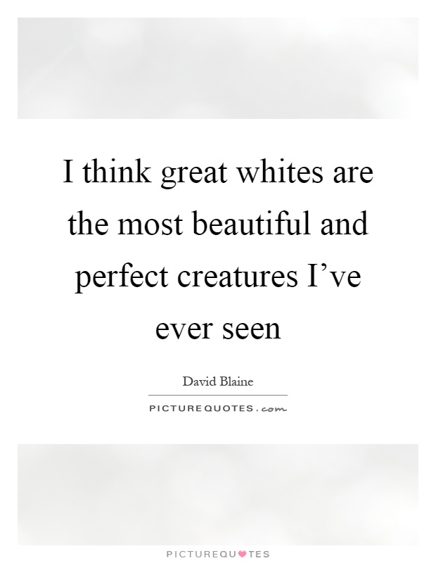 I think great whites are the most beautiful and perfect creatures I've ever seen Picture Quote #1