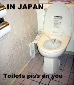 In Japan the toilets piss on you Picture Quote #1