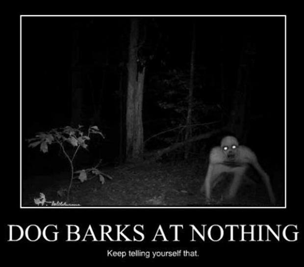 Dog barks at nothing. Keep telling yourself that Picture Quote #1