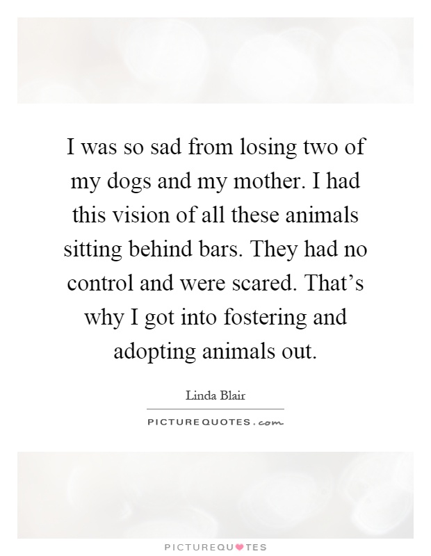 I was so sad from losing two of my dogs and my mother. I had this vision of all these animals sitting behind bars. They had no control and were scared. That's why I got into fostering and adopting animals out Picture Quote #1