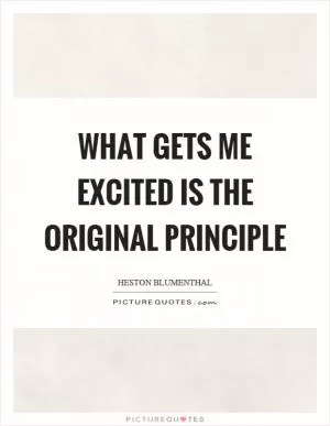 What gets me excited is the original principle Picture Quote #1
