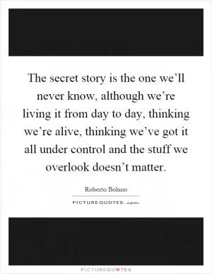 The secret story is the one we’ll never know, although we’re living it from day to day, thinking we’re alive, thinking we’ve got it all under control and the stuff we overlook doesn’t matter Picture Quote #1