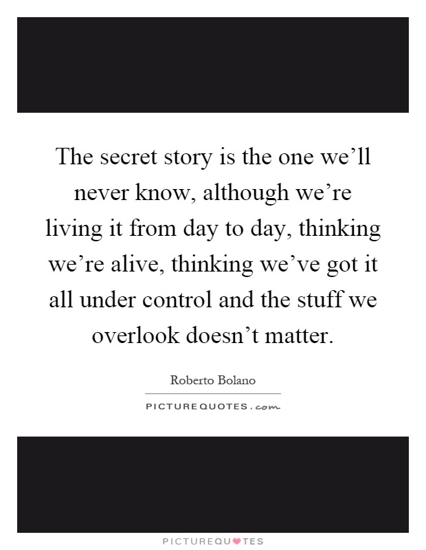 The secret story is the one we'll never know, although we're living it from day to day, thinking we're alive, thinking we've got it all under control and the stuff we overlook doesn't matter Picture Quote #1