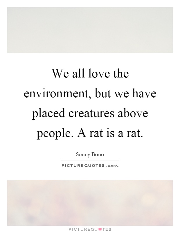 We all love the environment, but we have placed creatures above people. A rat is a rat Picture Quote #1