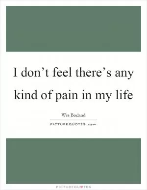 I don’t feel there’s any kind of pain in my life Picture Quote #1