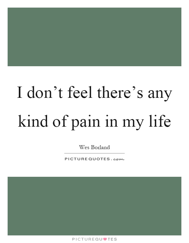 I don't feel there's any kind of pain in my life Picture Quote #1
