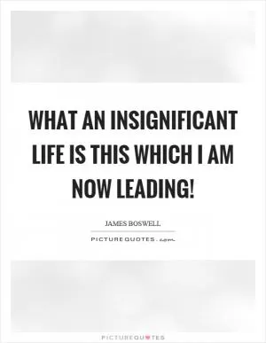 What an insignificant life is this which I am now leading! Picture Quote #1