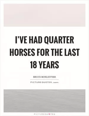 I’ve had quarter horses for the last 18 years Picture Quote #1