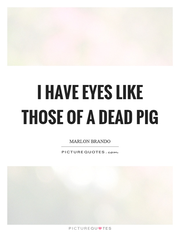 I have eyes like those of a dead pig Picture Quote #1