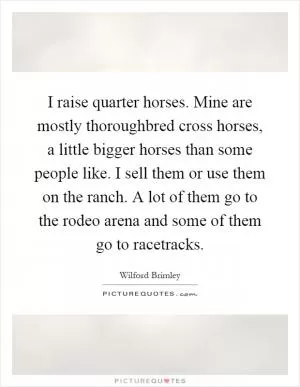 I raise quarter horses. Mine are mostly thoroughbred cross horses, a little bigger horses than some people like. I sell them or use them on the ranch. A lot of them go to the rodeo arena and some of them go to racetracks Picture Quote #1