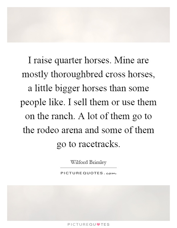 I raise quarter horses. Mine are mostly thoroughbred cross horses, a little bigger horses than some people like. I sell them or use them on the ranch. A lot of them go to the rodeo arena and some of them go to racetracks Picture Quote #1