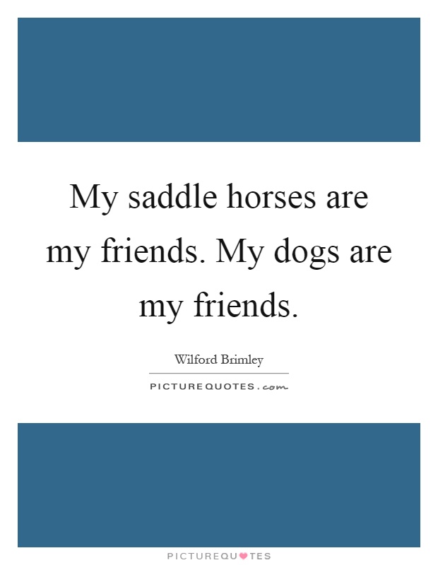 My saddle horses are my friends. My dogs are my friends Picture Quote #1