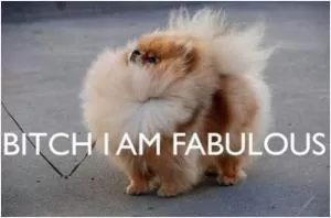 Bitch I am fabulous Picture Quote #1