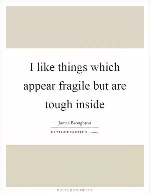 I like things which appear fragile but are tough inside Picture Quote #1