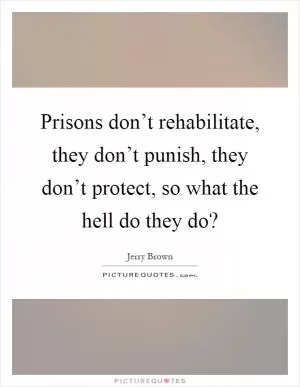 Prisons don’t rehabilitate, they don’t punish, they don’t protect, so what the hell do they do? Picture Quote #1