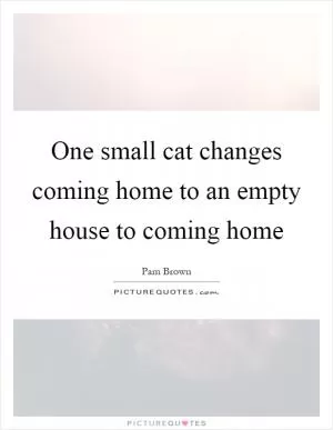 One small cat changes coming home to an empty house to coming home Picture Quote #1