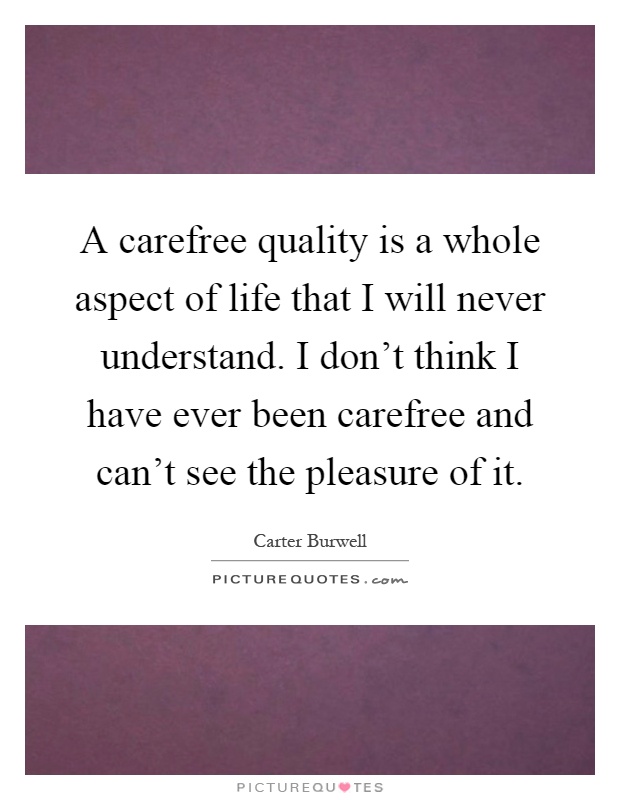 A carefree quality is a whole aspect of life that I will never understand. I don't think I have ever been carefree and can't see the pleasure of it Picture Quote #1