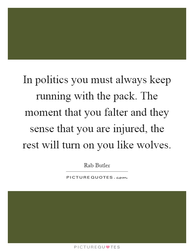 In politics you must always keep running with the pack. The moment that you falter and they sense that you are injured, the rest will turn on you like wolves Picture Quote #1