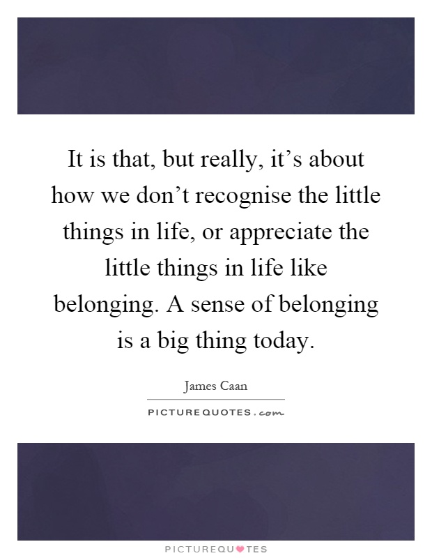 It is that, but really, it's about how we don't recognise the little things in life, or appreciate the little things in life like belonging. A sense of belonging is a big thing today Picture Quote #1