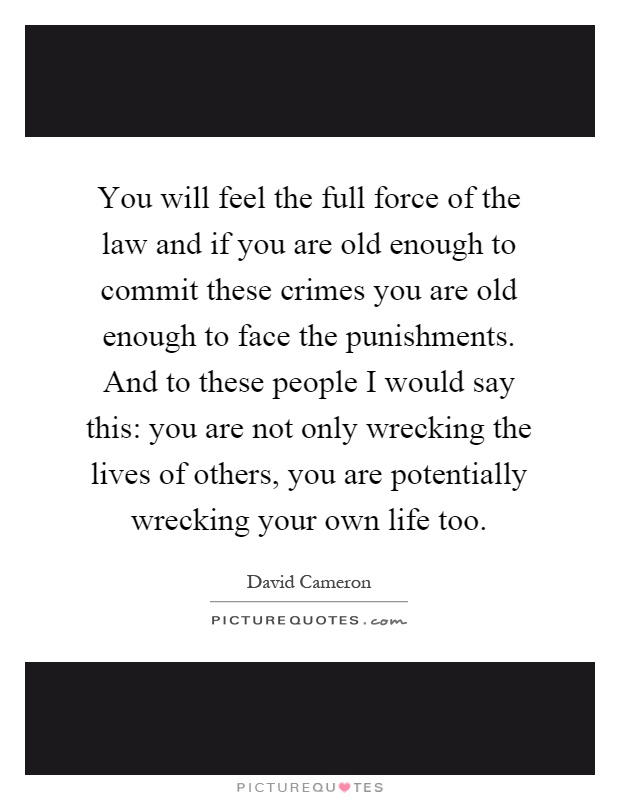 You will feel the full force of the law and if you are old enough to commit these crimes you are old enough to face the punishments. And to these people I would say this: you are not only wrecking the lives of others, you are potentially wrecking your own life too Picture Quote #1