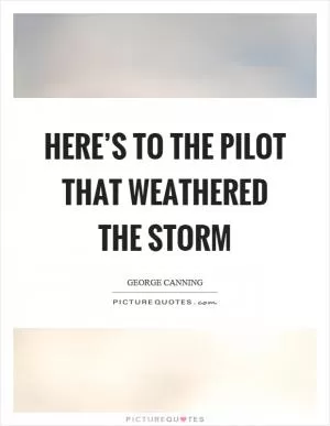 Here’s to the pilot that weathered the storm Picture Quote #1