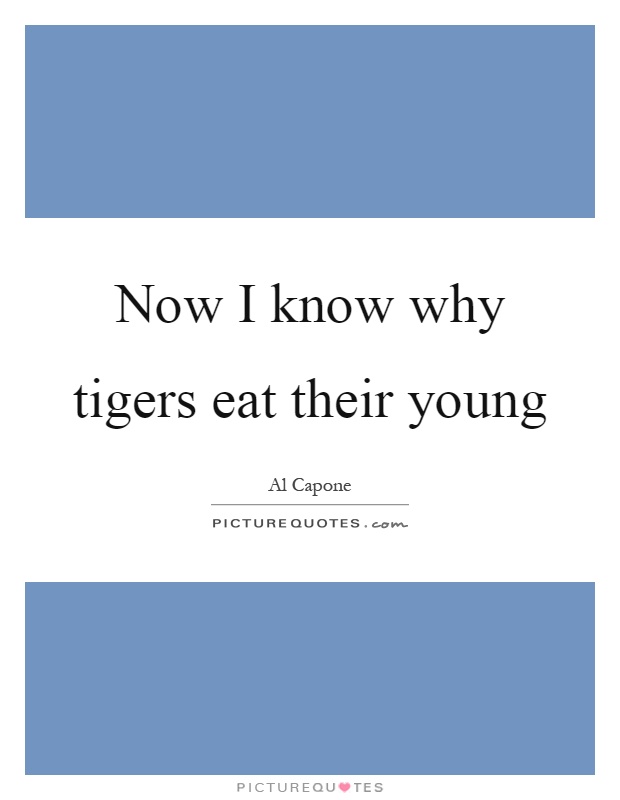 Now I know why tigers eat their young Picture Quote #1