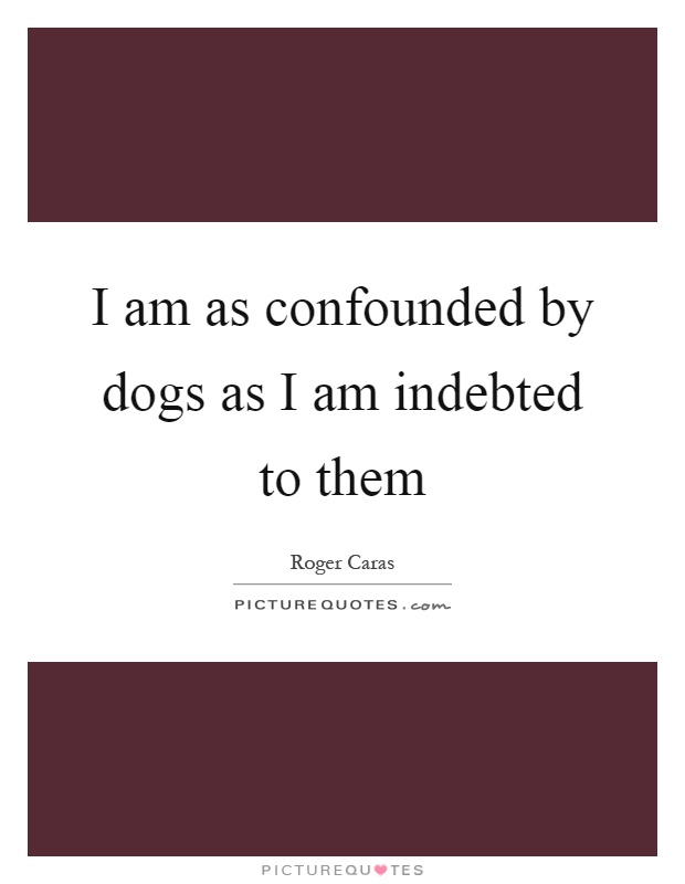 I am as confounded by dogs as I am indebted to them Picture Quote #1