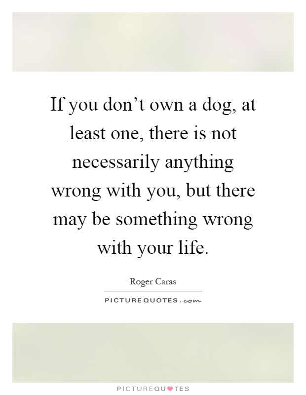 If you don't own a dog, at least one, there is not necessarily anything wrong with you, but there may be something wrong with your life Picture Quote #1