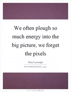 We often plough so much energy into the big picture, we forget the pixels Picture Quote #1