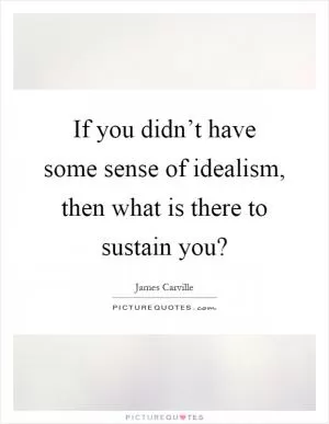 If you didn’t have some sense of idealism, then what is there to sustain you? Picture Quote #1